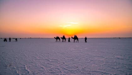Rann of Kutch